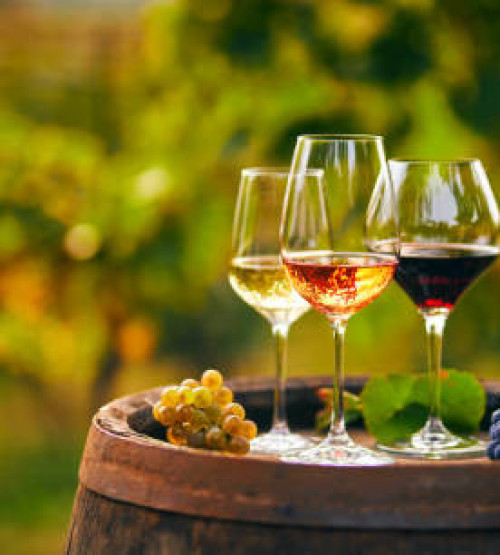 Vins
