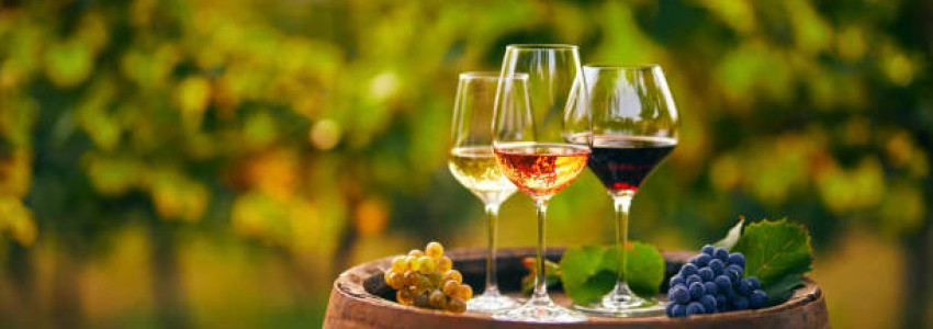 Vins